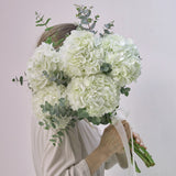 Cloud of Hydrangea