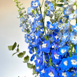 Bouquet of Delphiniums