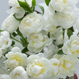 Joha al-Harti: Bouquet of 10 White Peonies