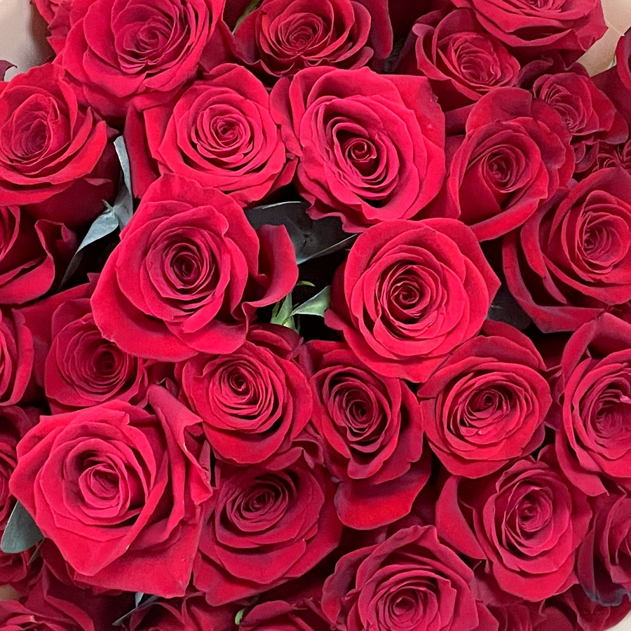 51 premium red roses