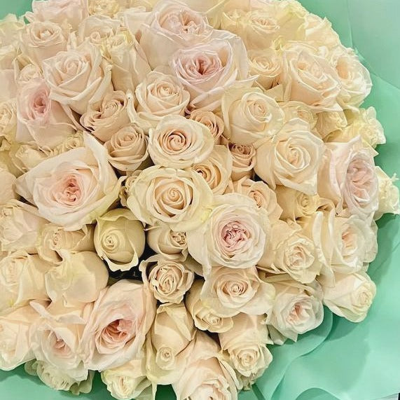 101 premium white roses