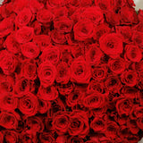 A huge bouquet of 301 red roses