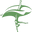 Flove.ae logo