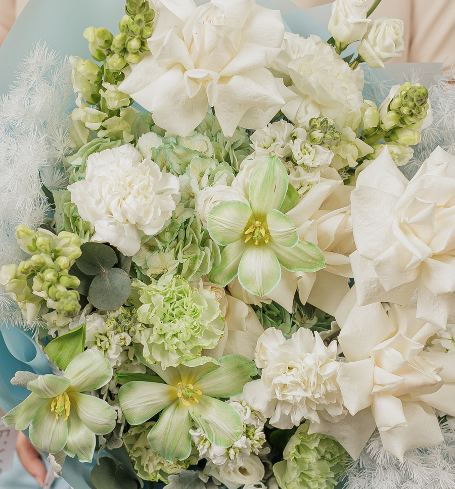 ماري برونكو