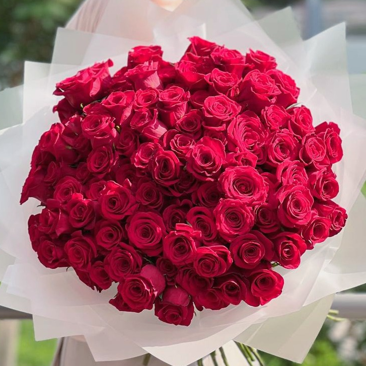 101 premium red rose